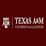 Texas A&M University