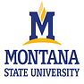 Montana State University