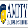 Amity Global Institue