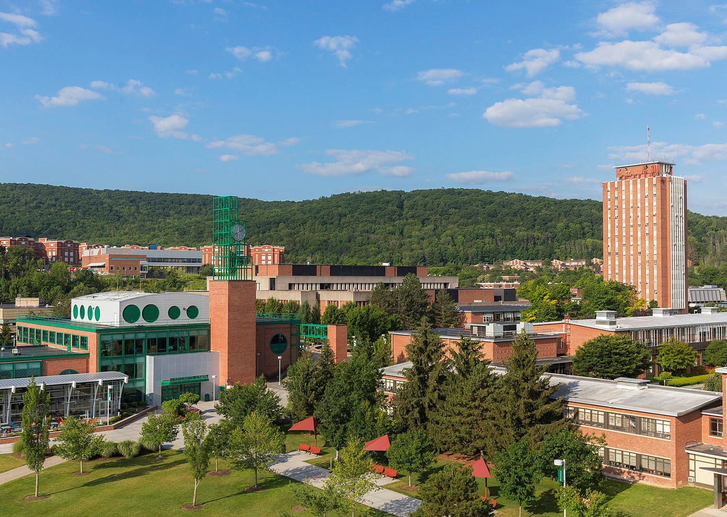 Binghamton University: Ranking, Cost, Admissions, Degrees, Fees, And Alumni