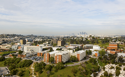 California State University: Ranking, Fees, Degrees, And Deadlines