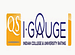 QS I-GAUGE