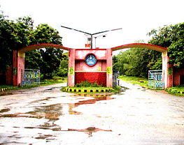 Badriprasad Institute of Technology