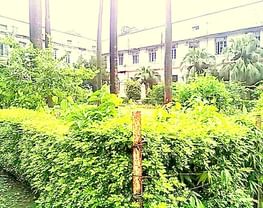 Bihar National College