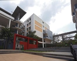 Seamedu School of Pro-Expressionism