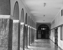 Department of Germanic and Romance Studies, University of Delhi