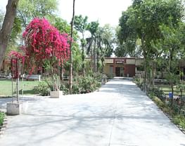 D.A.V College