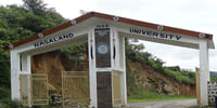 Nagaland University