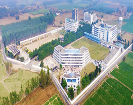 Bangalore Group of Institutions - [BGI]