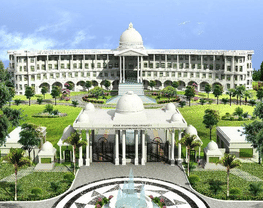 Noida International University - [NIU]