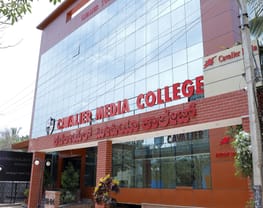 Cavalier institutions