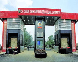 Chaudhary Charan Singh Haryana Agricultural University - [CCSHAU]