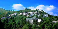 Shoolini University