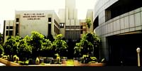 Dr DY  Patil College of Agriculture Business Management