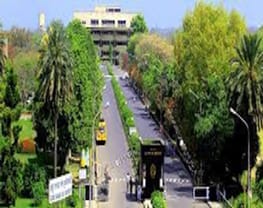 Directorate of Open & Distance Learning, GNDU - [ODL GNDU]