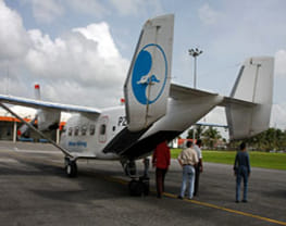 Blue Wing Aviation
