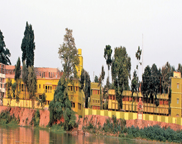 Jangipur College