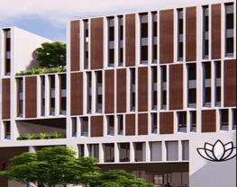 NMV University