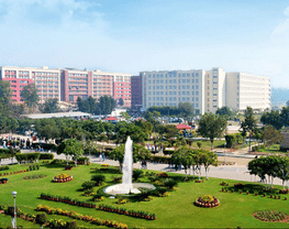 Chandigarh University Online, Punjab