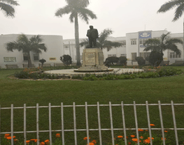 Regional Institute of Ophthalmology-[R.I.O]