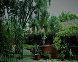 Arvindbhai Patel Institute of Environmental Design - [APIED]