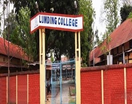 Lumding College