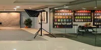 Zebra Institute