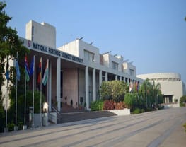 School of Law Forensic Justice & Policy Studies, National Forensic Sciences University