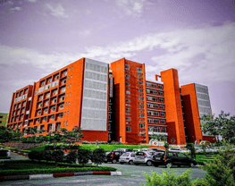 DY Patil University
