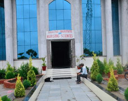 Amaltas Institute of Nursing Sciences