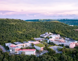 Symbiosis Artificial Intelligence Institute (SAII)