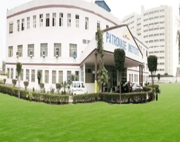 Patronage institute of professional studies