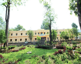 Sri Sri Nrusinghnath Ayurved College and Research Institute - [SSNAYC]