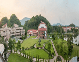 School of Business,Indian Institute of Technology Guwahati