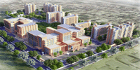 Government Tibbi College & Hospital