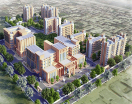 Government Tibbi College & Hospital