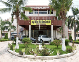 BABU DINESH SINGH UNIVERSITY