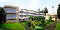 Alphonsa College