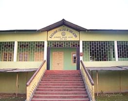 Kaliabor College