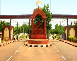 Narasinghpur College