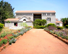 Government Film and Television Institute