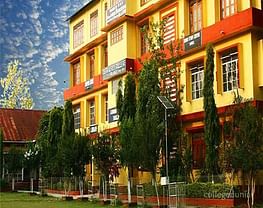 Debraj Roy College