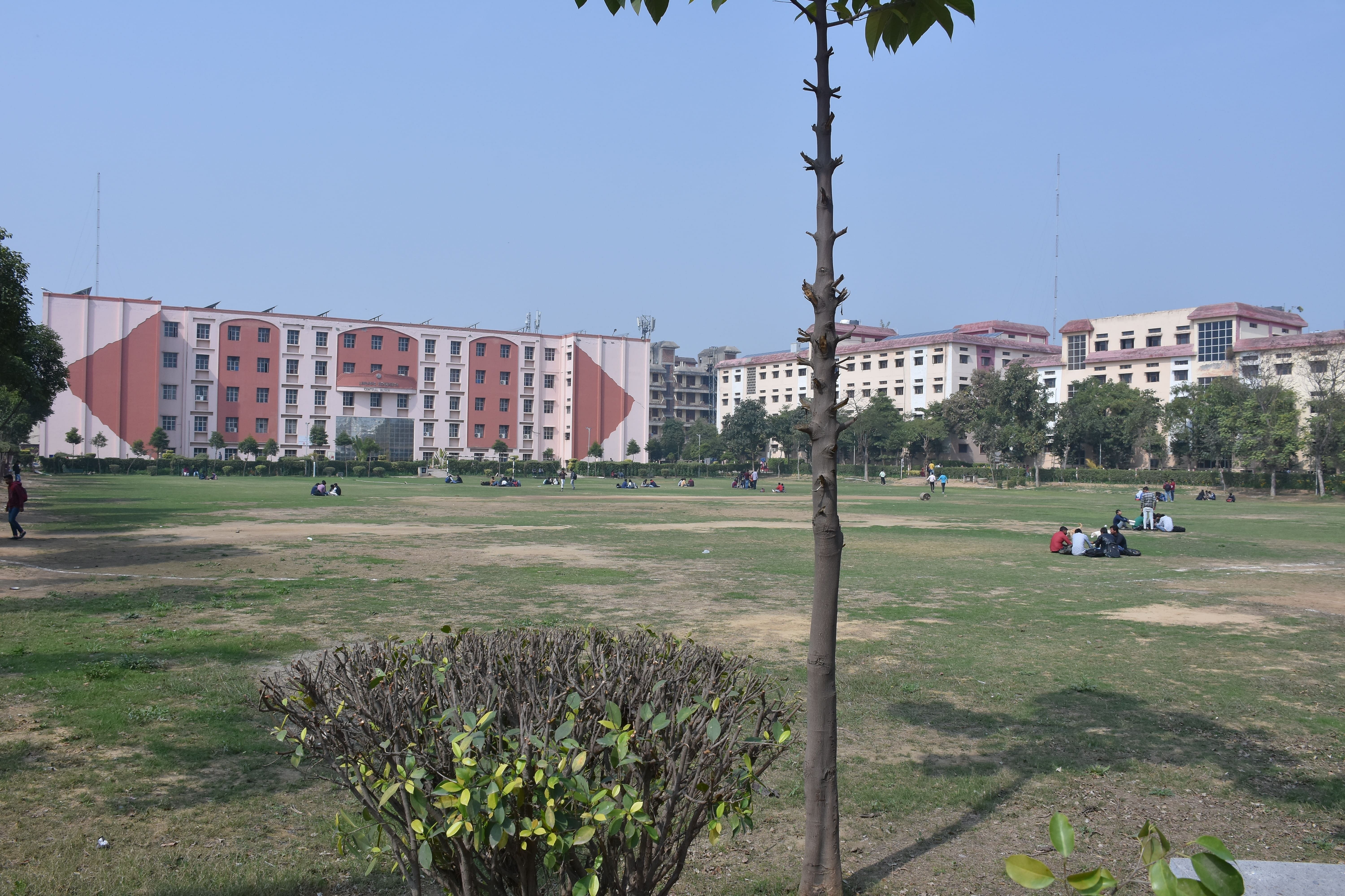 Lingaya s Vidyapeeth Faridabad Courses Fees 2024 2025