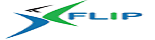Flip