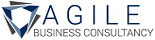 Agile Business Consultancy