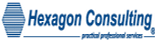 Hexagon Consulting