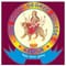 Shree Shakti Degree College logo