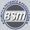 Birla School of Management - [BSM] logo
