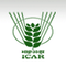 Directorate of Research on Women in Agriculture - [ICAR] logo
