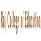 Raj College of Education logo